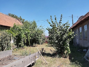 Vând casă în loc.Racovița, jud.Timiș - imagine 3