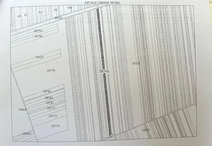 Teren extravilan 7.000 mp   acces facil   ideal pentru investiție agricultură