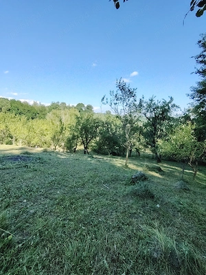 Vând teren intravilan, Comuna Sotrile,sat Plaiul Cornului  - imagine 6