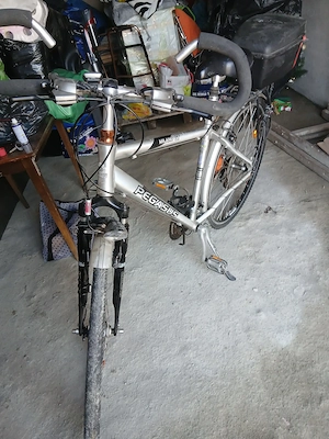 Bivicleta pegasus titanium