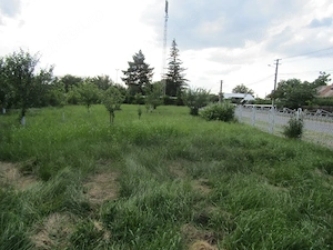 PERSOANĂ FIZICĂ Vând casă cu teren intravilan 3.884 mp Săvinești, jud. Neamț   130.000   negociabil - imagine 7