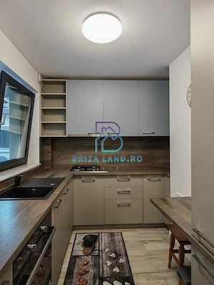 Ion Mihalache, Chibrit, casa 2 corpuri, 6 camere, 2 bai, teren 280.5mp - imagine 13