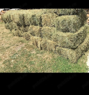 Baloti fan