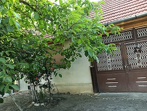 Casa de vanzare