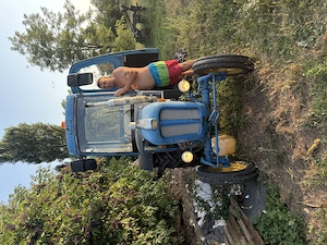 Tractor Landini R3000 - imagine 2