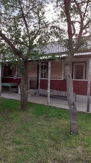 Vând casa 91mp satCotu Ciorii com CA RosettiJud Buzău  - imagine 6