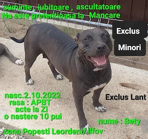 Fata AmericanPBT - imagine 3