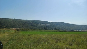 Teren intravilan 2500 mp  de vanzare - imagine 4