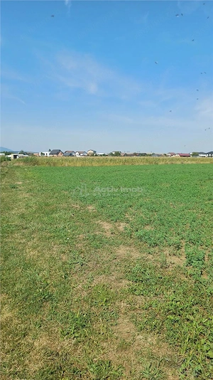 Teren intravilan 2500 mp  de vanzare - imagine 2