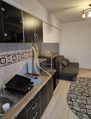 Garsoniera (studio) str. Gradinarilor 48A de închiriat - imagine 3