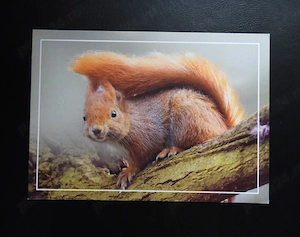 Carti postale noi noute!