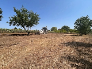 Teren intravilan 610 mp | Deschidere 46 m | Puț forat & Nivelat | Ciofliceni - Snagov - imagine 5