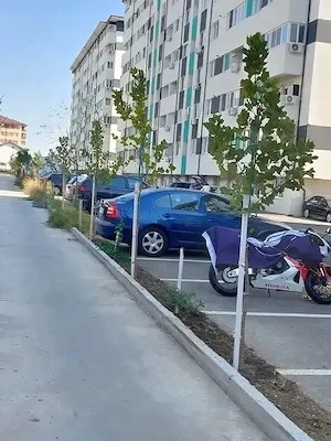 Apartament 2 camere , 41 mp + Loc Parcare  | Weiner 12 | Parter Înalt | Proprietar - imagine 5
