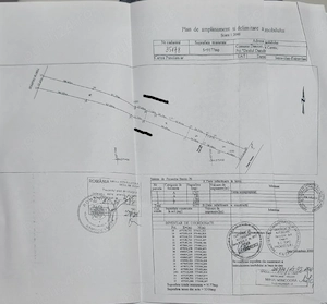 TEREN 9.177 MP (INTRAVILAN + Livadă pruni pe rod)   Dănicei,Ceretu (Vâlcea) 