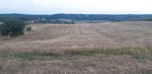 Vand doua terenuri in suprafata de aprox 1 ha, extravilan, situate in localitatea Betfia, Bihor.