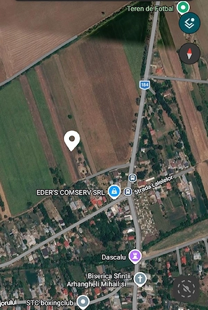 Teren intravilan 2250mp   Dascălu, Ilfov | Locație excelentă, la doar câteva minute de București