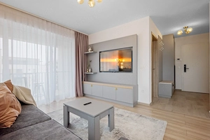 Apartament tip Studio Kasper - imagine 2