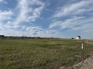 Teren intravilan 700 mp Paleu | PUZ aprobat - imagine 7