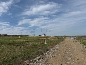 Teren intravilan 700 mp Paleu | PUZ aprobat - imagine 2