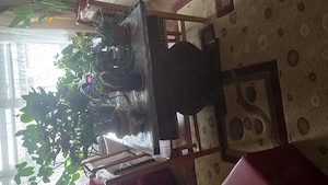masa extensibila ( pana la 12 pers.), din lemn masiv,cu 6 scaune tapisate,in stare foarte buna.