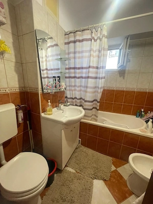 Apartament 3 camere, 65.57 mp, zona Brazda lui Novac - imagine 9