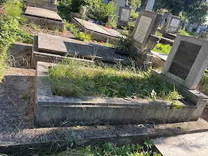 De vanzare loc de veci Cimitirul Central Cluj Napoca  - imagine 2
