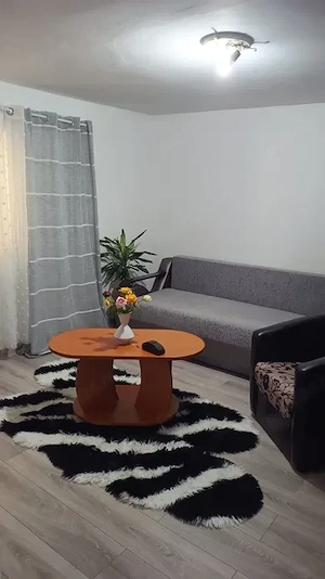 VÂNZARE RAPIDĂ   2 case pe teren de 230 mp, Smeura (lângă Pitești) - imagine 3