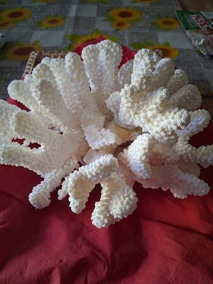 Ornament de lux
