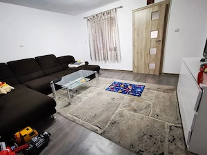 Casa în zona Mehala, teren 740 mp- toate utilitățile.