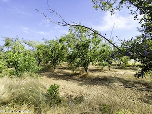 Parcele Teren extravilan Livada si Pasune Lunca Corbului Arges - imagine 8