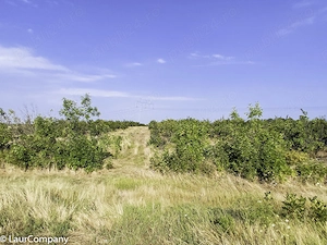 Parcele Teren extravilan Livada si Pasune Lunca Corbului Arges - imagine 10