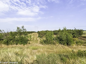 Parcele Teren extravilan Livada si Pasune Lunca Corbului Arges - imagine 6