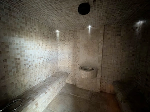 Reședință exclusivistă cu piscină și SPA | Dumbrăvița - imagine 7