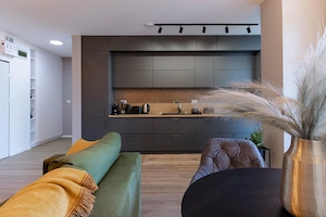 Apartament 2 camere zona Iulius Town - imagine 3