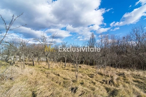 Casa traditionala argeseana – comuna Vedea, jud. Arges - imagine 6