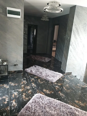 Proprietate de vanzare, 950 mp, zona Gradina Botanica - imagine 10