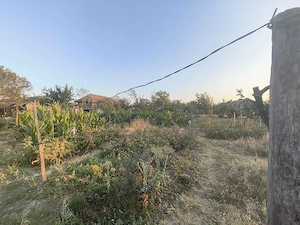 Casa si terenuri Oprișor  1,7 Ha  - imagine 5