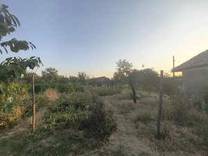 Casa si terenuri Oprișor  1,7 Ha  - imagine 3