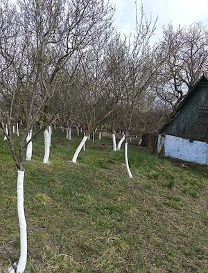  Casă de vânzare – Orbău, SM - imagine 2