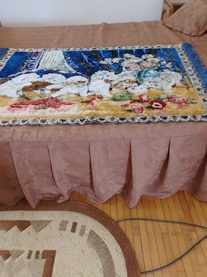 Vand carpeta cu pisici 