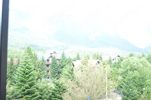 Inchiriere- Apartament decomandat cu 2 Camere în Busteni,Piatra Arsa - imagine 4