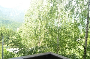 Inchiriere- Apartament decomandat cu 2 Camere în Busteni,Piatra Arsa - imagine 9