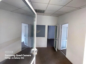 Vanzare Inchiriere casa si curte zona Timpuri Noi - imagine 4