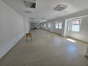 Casa individuala 7 camere+ apartament, 5 locuri de parcare. Sagului - imagine 15