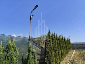 TEREN INTRAVILAN DE VÂNZARE – VALEA AVRIGULUI | 1.913 MP - imagine 5