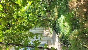 Teren și casa central, Cerbul de Aur - imagine 6
