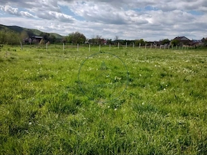  TEREN INTRAVILAN DE VÂNZARE – 1.000 MP - imagine 4