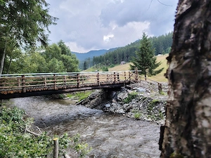 Teren cu izvor, pârâu și pădure.