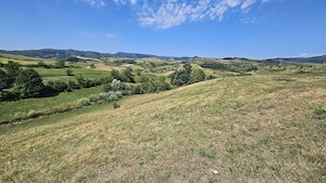 Teren 4.454 mp de vânzare în Sichevița - imagine 2