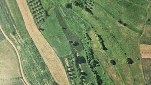 Teren 4.454 mp de vânzare în Sichevița - imagine 5